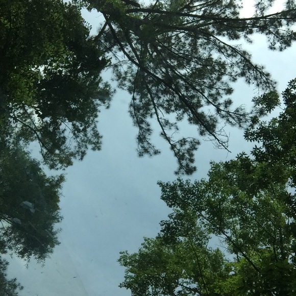 Meet your Posher, Becca๐ - Picture 1 of 1